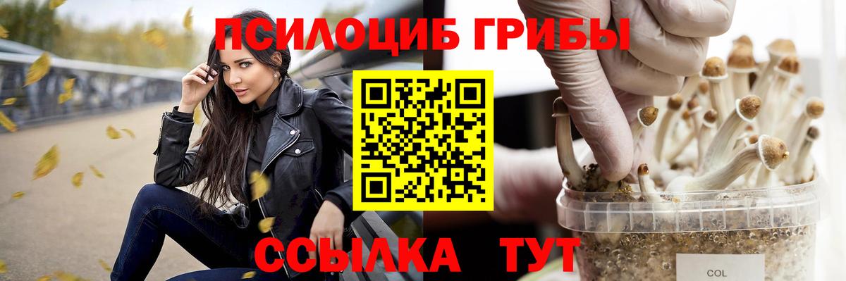 Псилоцибиновые грибы Cubensis Кушва