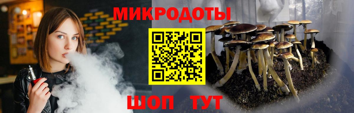 Кушва  Псилоцибиновые грибы Psilocybe  Вход с VPN 